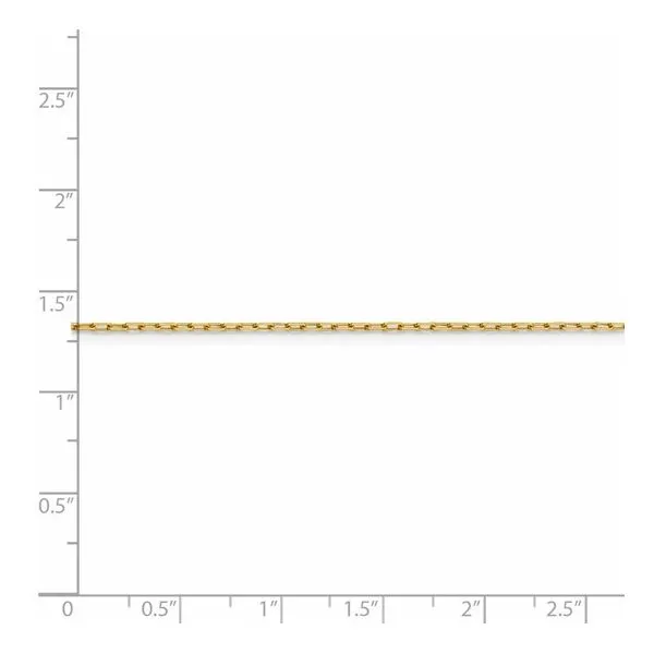 A 14k yellow gold long open link chain nin 18 inch length Image 4 Bryan Jewelry Prattville, AL