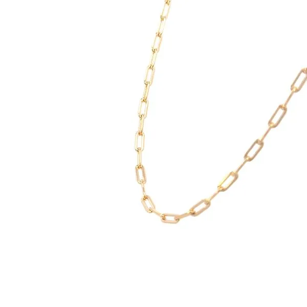 Gold Filled Paper Clip Chain-20 inches Image 2 Bryan Jewelry Prattville, AL