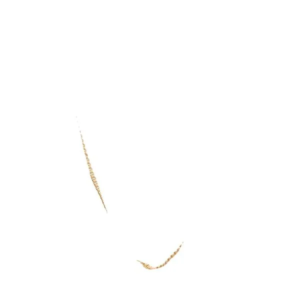 Gold Filled Box Chain-18 inches Image 2 Bryan Jewelry Prattville, AL