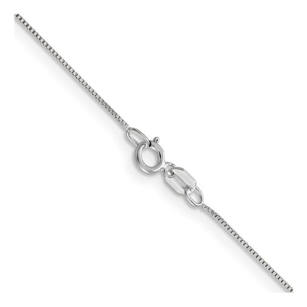 10k white gold .5mm box chain in 18 inch length Bryan Jewelry Prattville, AL