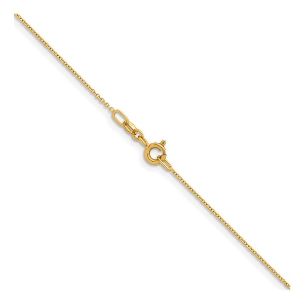 Everyday Essential Shine: Classic Fine Yellow Gold Chain Necklace Image 2 Bryan Jewelry Prattville, AL