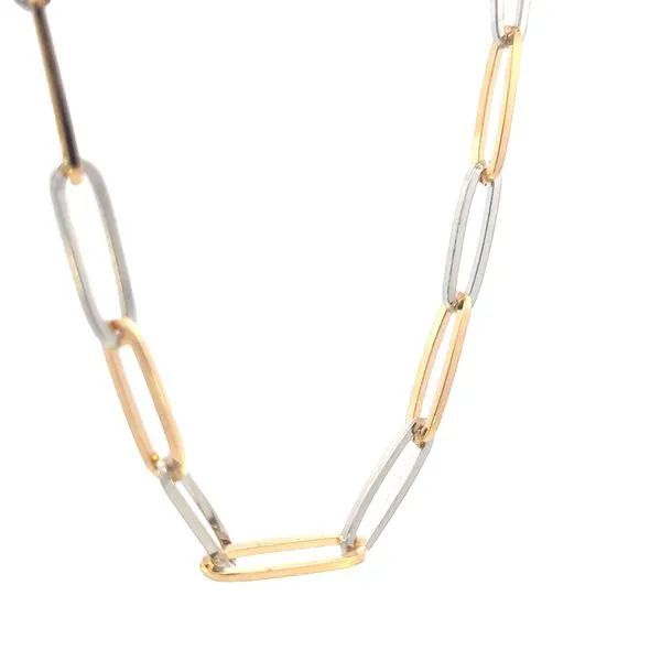 TT silver & gold filled Link necklace Image 2 Bryan Jewelry Prattville, AL