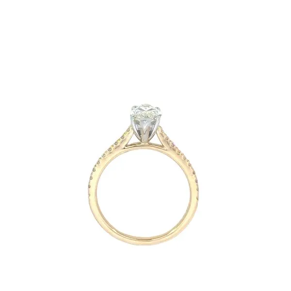 Marquise Solitaire with diamond shank-Lab Grown Diamonds in 14ktt Image 4 Bryan Jewelry Prattville, AL