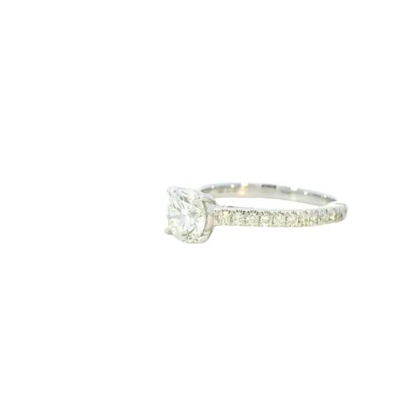 Lab Grown Round Diamond solitaire with pave' set diamond shank-14kw Image 4 Bryan Jewelry Prattville, AL