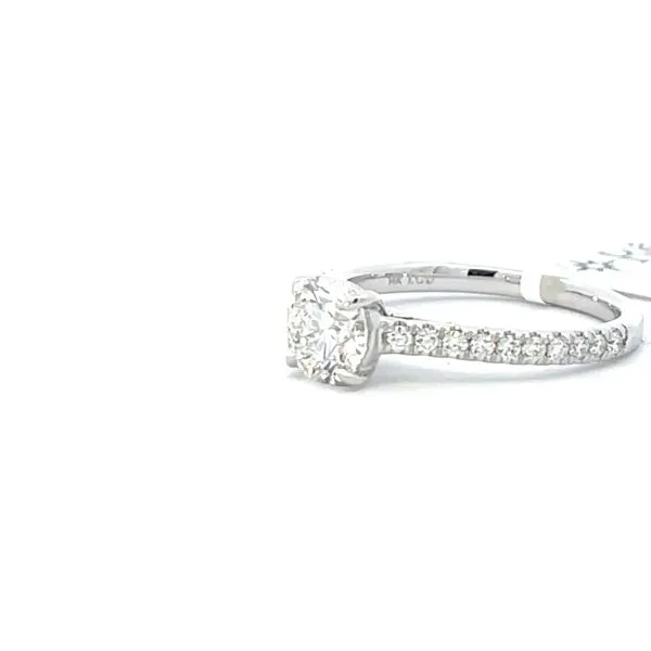 Lab Grown Round Diamond solitaire with pave' set diamond shank-14kw Image 5 Bryan Jewelry Prattville, AL