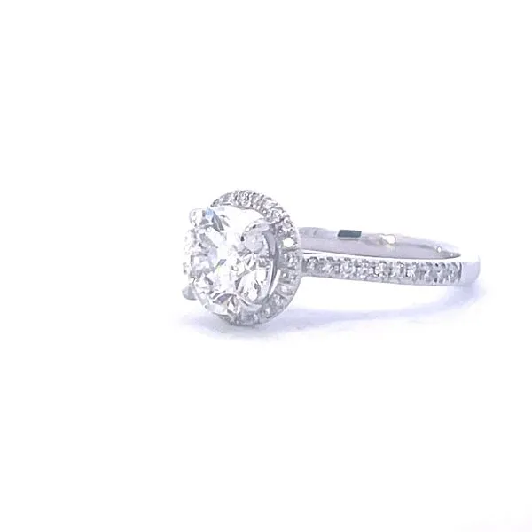 Lab Grown LADIES HALO RING in 14kw Image 2 Bryan Jewelry Prattville, AL