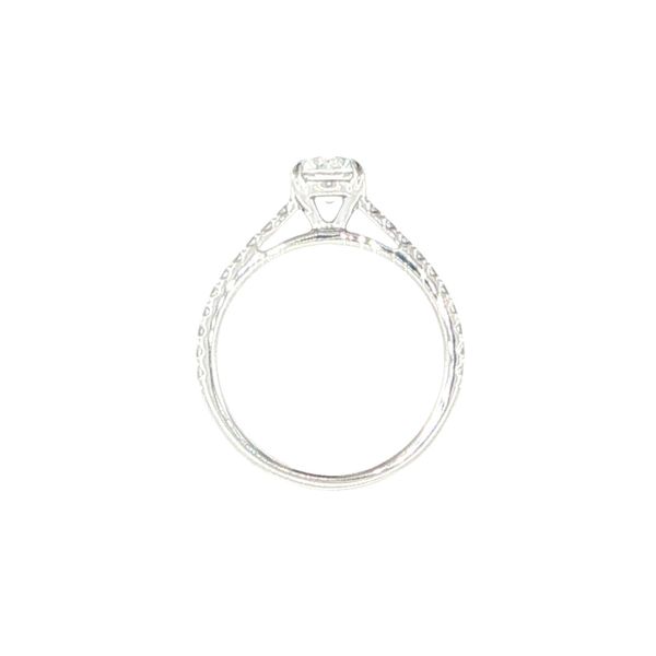 Lab Grown Round Diamond solitaire with pave' set diamond shank-14kw Image 4 Bryan Jewelry Prattville, AL