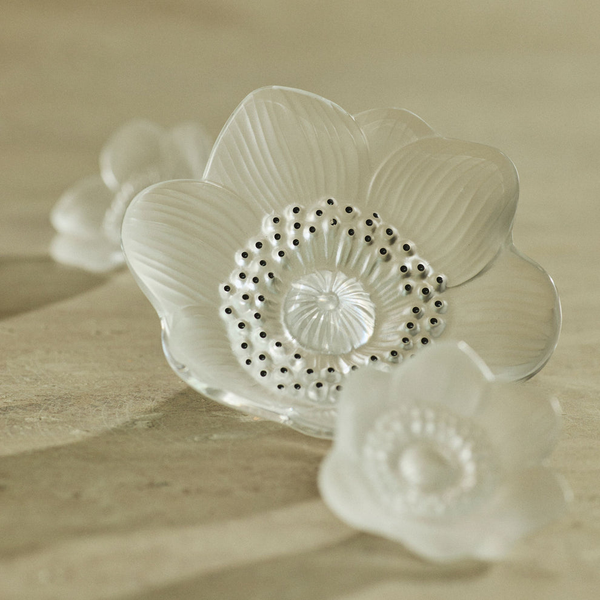 Anemone Figurine Clear Image 2 Carats Mcallen, TX