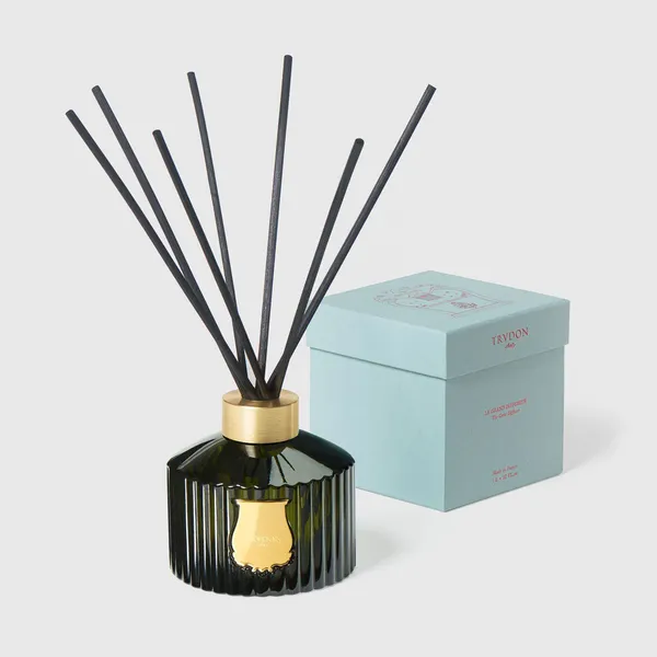 TRUDON Ernesto Grand Diffuser, 1 Liter Carats Mcallen, TX