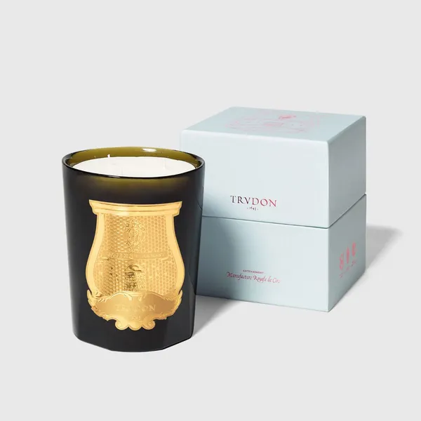 TRUDON 800G GABRIEL CANDLE Carats Mcallen, TX