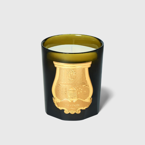 ERNESTO SCENTED CANDLE, 270 G Carats Mcallen, TX