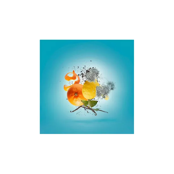 Xerjoff Erba Pura Eau de Parfum 100 ml Image 4 Carats Mcallen, TX