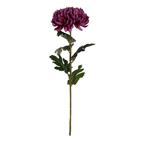 Chrysanthemum Stem Carats Mcallen, TX