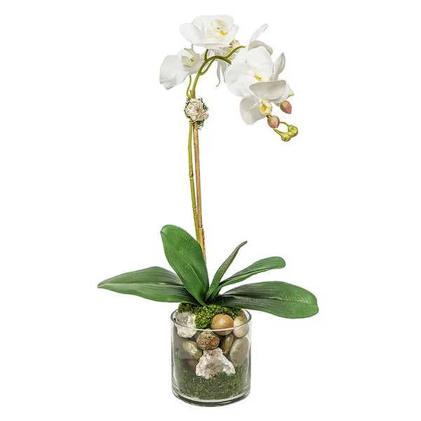 THE IVY GUILD WHITE ORCHID W/STONE CRYSTAL IN GLASS 23