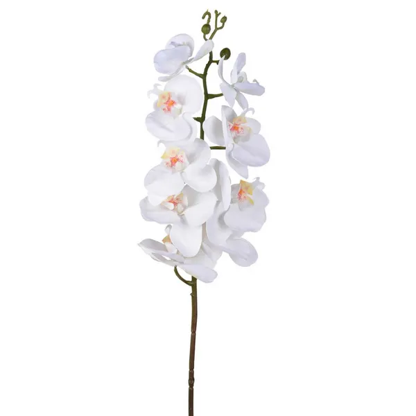 Home Decor Orchid Stem Carats Mcallen, TX
