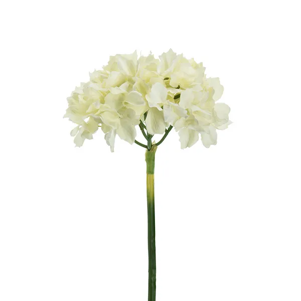 Home Decor Hydrangea-Cream Carats Mcallen, TX