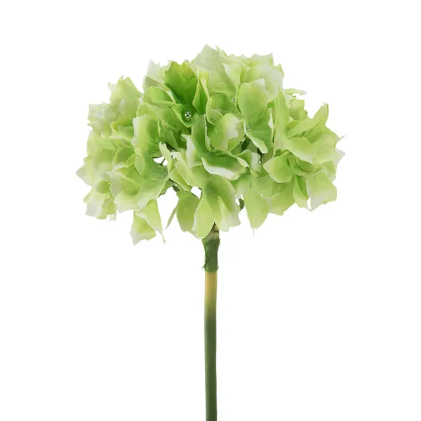 Home Decor Hydrangea-Green Carats Mcallen, TX