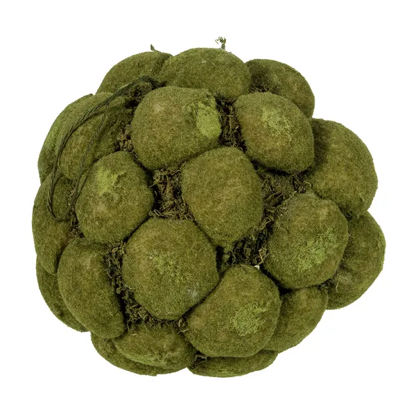 Textured Moss Ball Carats Mcallen, TX