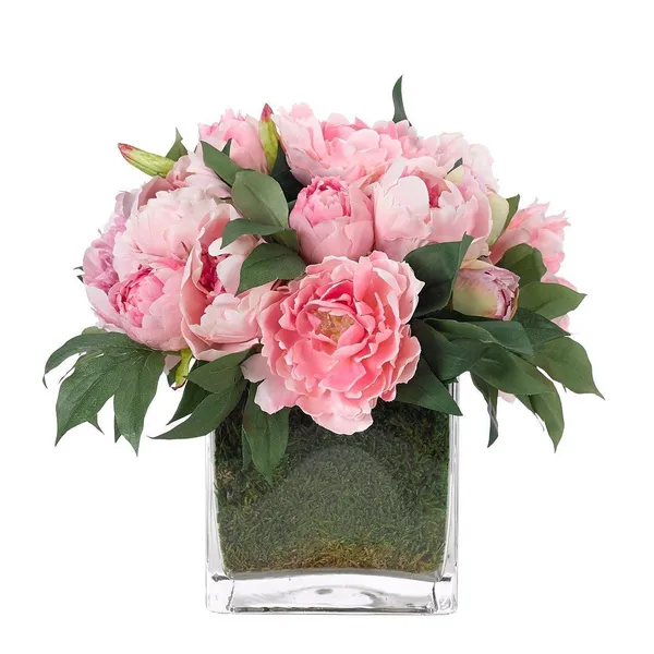 THE IVY GUILD PINK FUCHSIA IN 5