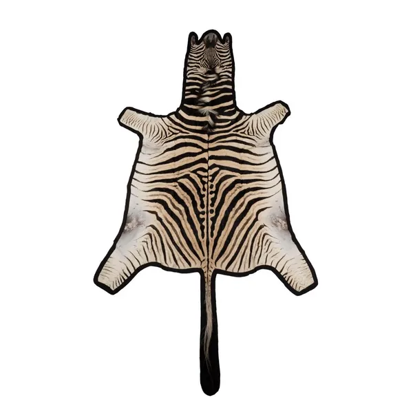 Ngala Hides:Zebra Hide-Felted Carats Mcallen, TX