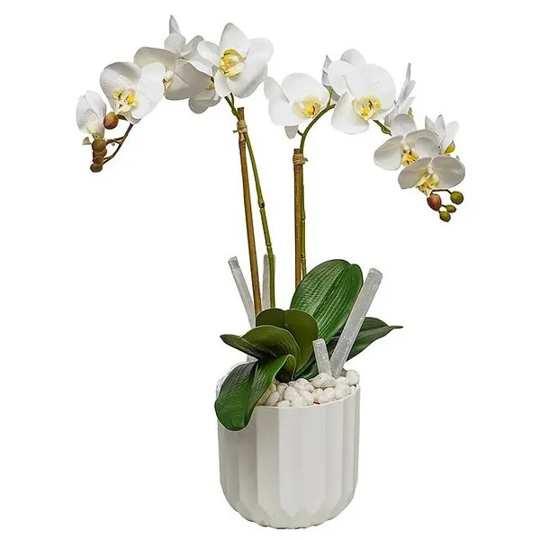 THE IVY GUILD ORCHIDS/SELENITE STICKS IN WHITE POT Carats Mcallen, TX