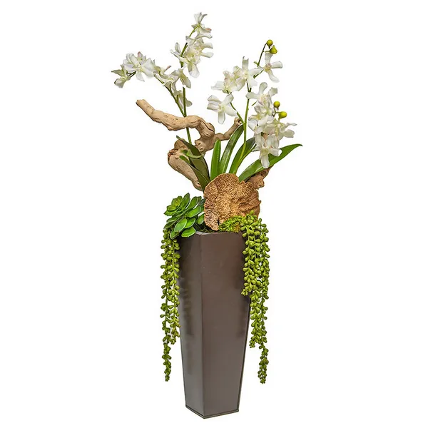 THE IVY GUILD VANDA ORCHID IN TALL ZINC Carats Mcallen, TX