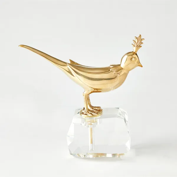 Bird on Crystal Rock Carats Mcallen, TX