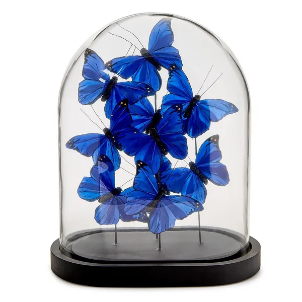Ultramarine Butterflies in Oval Dome Carats Mcallen, TX