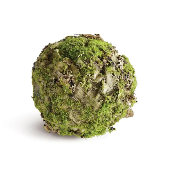Mossy Lichen Orb 6.5