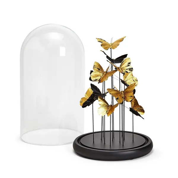 S/2 Golden Butterflies in Dome Image 2 Carats Mcallen, TX