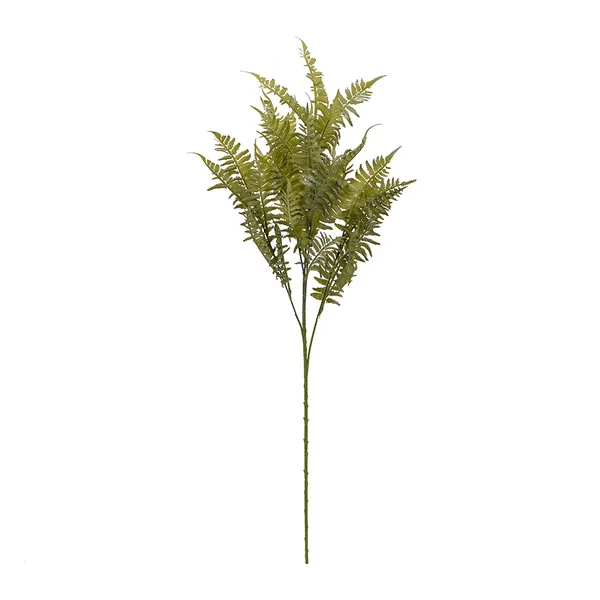 Fern Spray Carats Mcallen, TX
