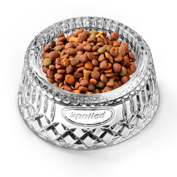 Crystal Dog Bowl Image 2 Carats Mcallen, TX