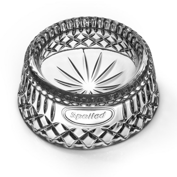 Crystal Dog Bowl Carats Mcallen, TX