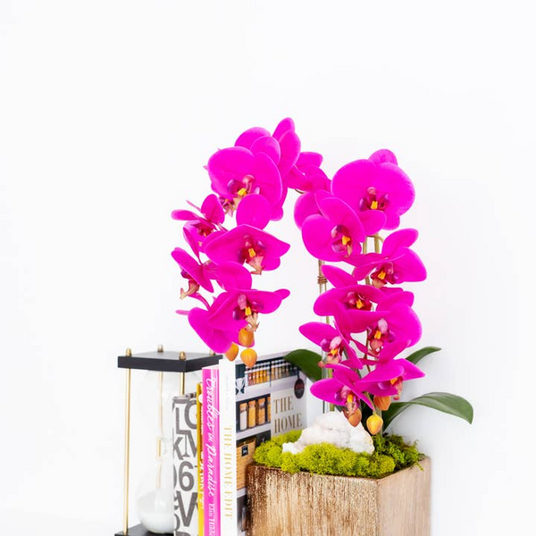 Double Orchid in Gold Square - FU Image 2 Carats Mcallen, TX