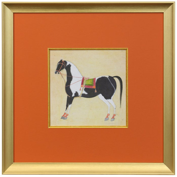 Decorated Saddle Cloth Dann Foley Lifestyle Framed Print Under Glass Carats Mcallen, TX