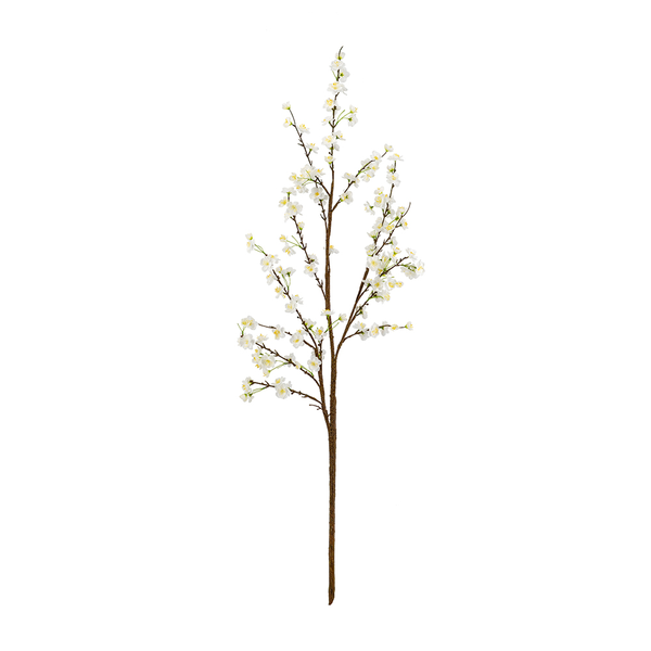 Apple Blossom Branch Carats Mcallen, TX