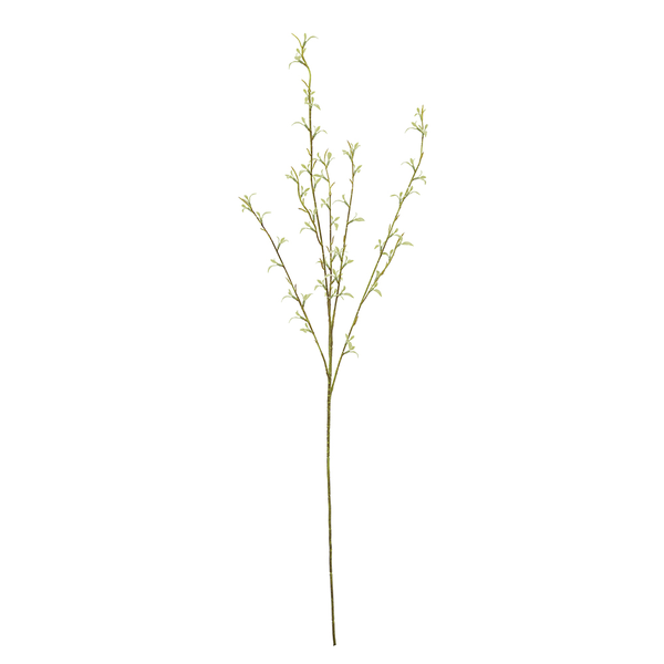 Pussy Willow Spray Carats Mcallen, TX