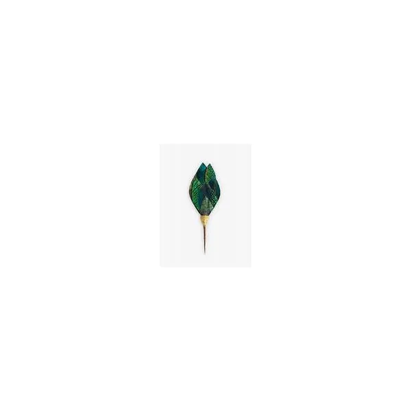 BRACKISH OL' MAIN PIN Carats Mcallen, TX