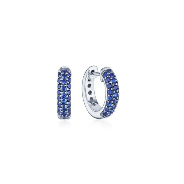 MOONLIGHT PETITE SAPPHIRE EARRINGS =.53 Carats Mcallen, TX