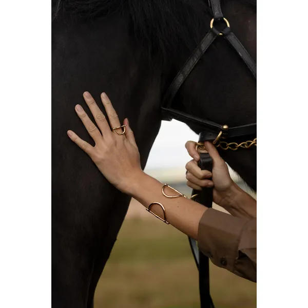 Cheval Bit Ring, Gold size 6 Image 2 Carats Mcallen, TX