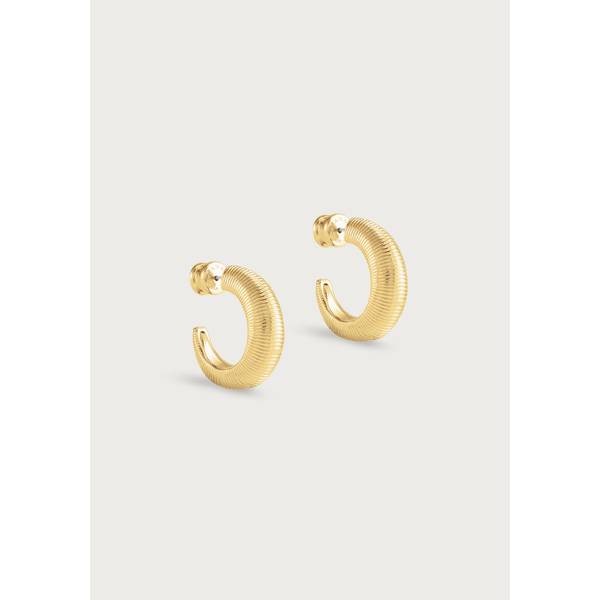 Safari Hoops Carats Mcallen, TX