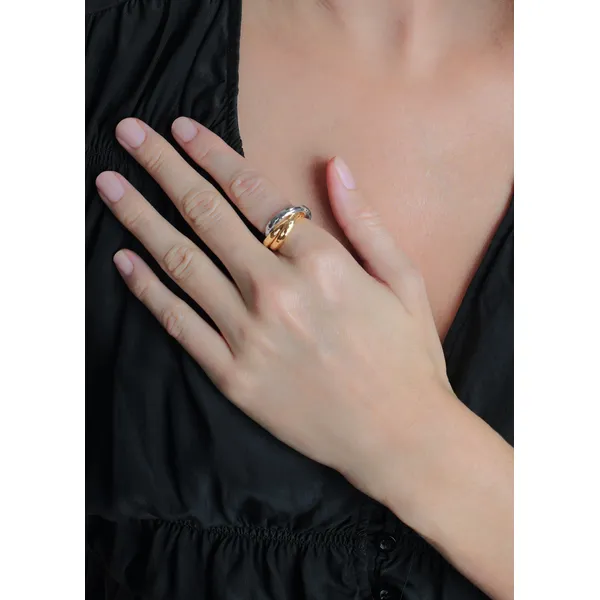 ANABEL ARAM Farrier Mixed Metal Triple Band Ring Image 2 Carats Mcallen, TX