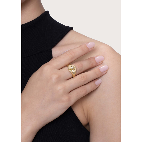 Celeste Signet Ring, White Image 2 Carats Mcallen, TX