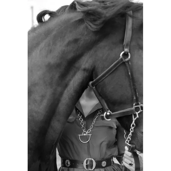 Cheval Chain Necklace, Gold Image 2 Carats Mcallen, TX