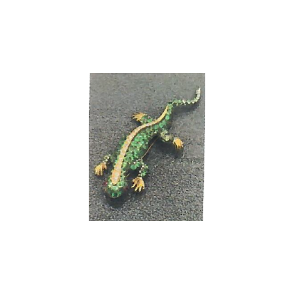 LIZZARD BROOCH IN 18K GOLD WITH 4.69CT OF TSAVORITE AND 0.64CT OF DIAMONDS AND 0.10CTS OF RUBIES Carats Mcallen, TX