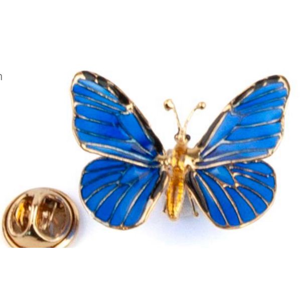 BUTTERFLY BROOCH S IN BRASS W/24K YG & ELECTRIC BLUE ENAMEL Carats Mcallen, TX