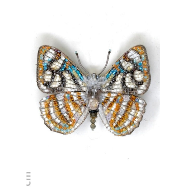 Racidula Sailor Butterfly Brooch Pin Carats Mcallen, TX