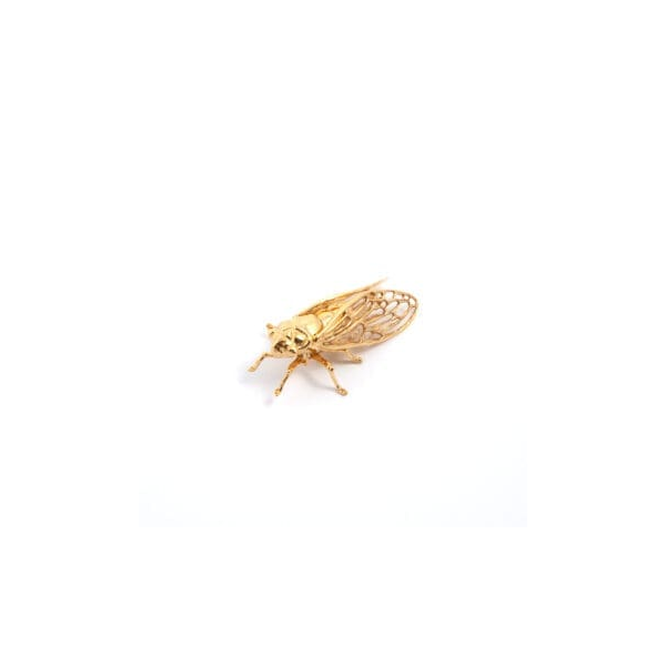 CICADA BROOCH (L) IN BRASS W/24K YG OVERLAY Carats Mcallen, TX