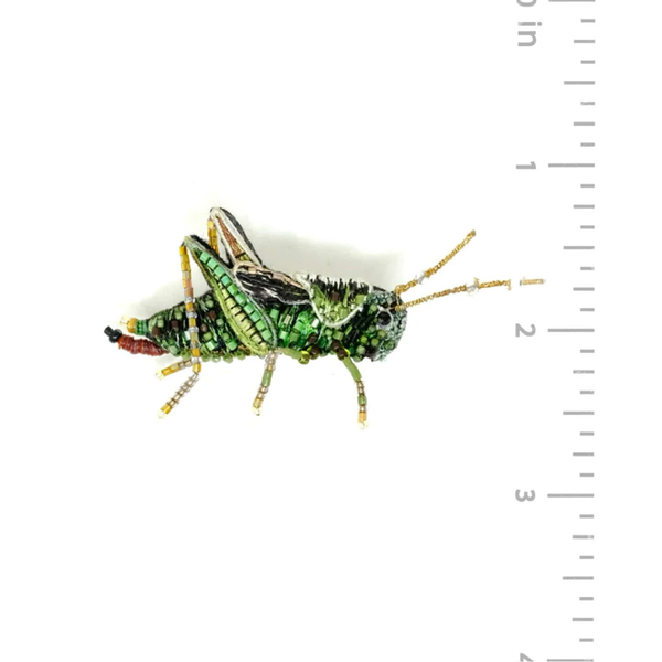 TWO STRIPPED GRASSHOPPER BROOCH PIN Carats Mcallen, TX