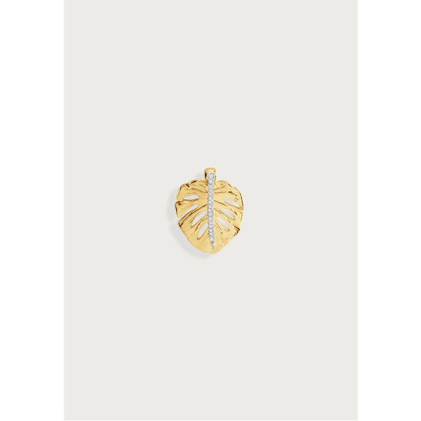 Monstera Palm Charm, Small Carats Mcallen, TX